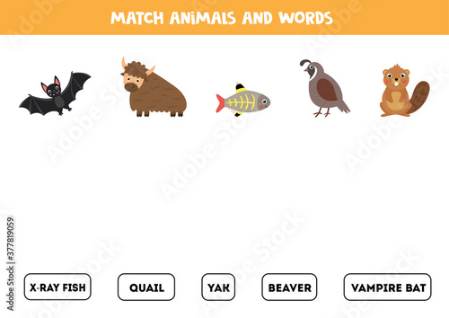 Matching words game with cute animals. Educational game.