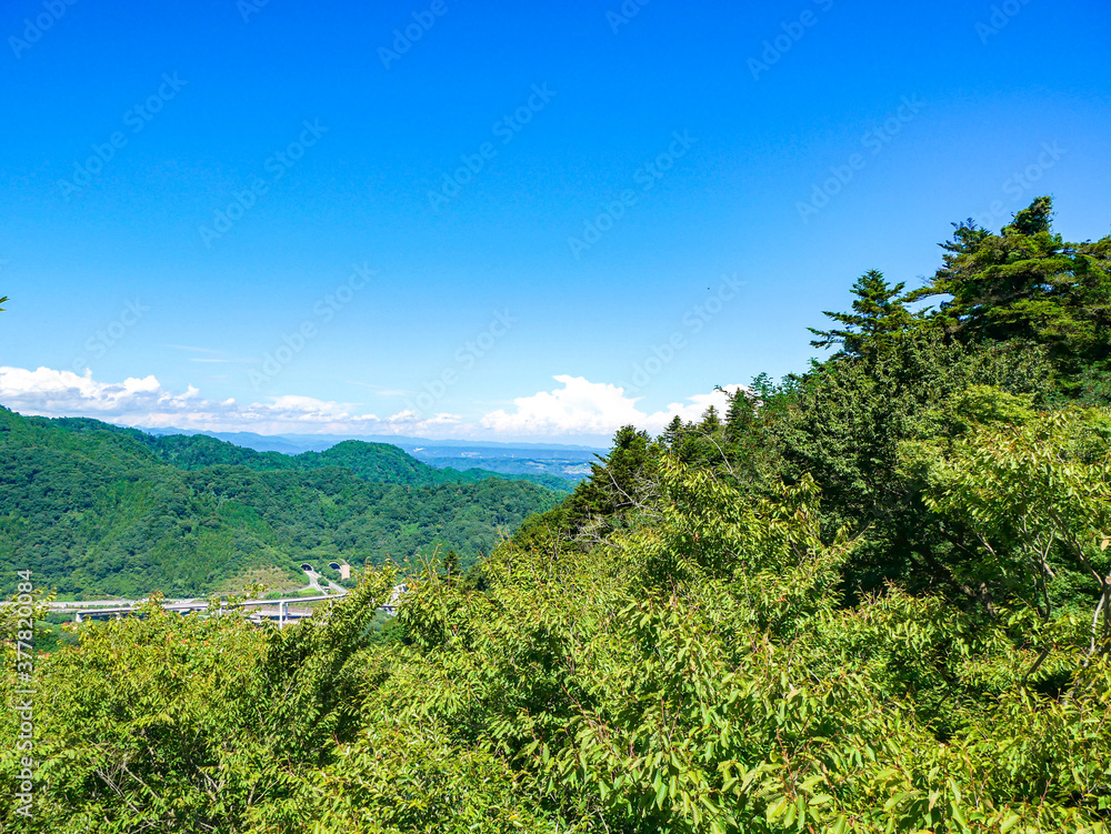 Obraz premium 夏・高尾山・見晴台より眺望