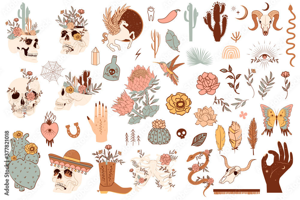 Obraz premium Set of cute mexico and wild west objects. Skulls, cactus, snake, horse, floral elements. Editable vector clipart illustration.