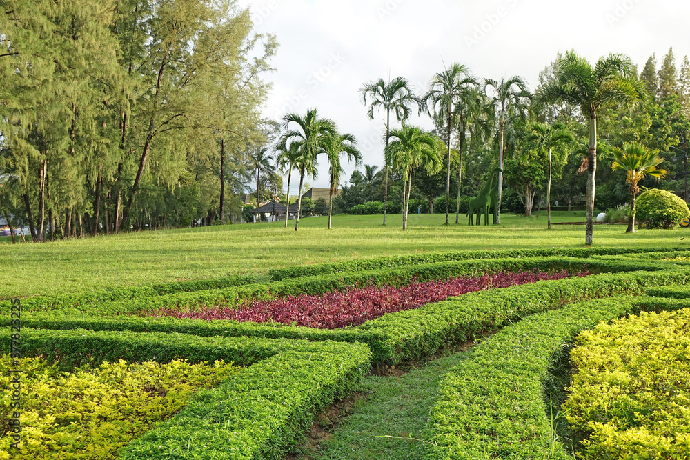 Beautiful tropical garden landscape with lawn and palm trees