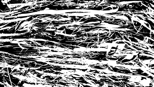 Seaweed texture