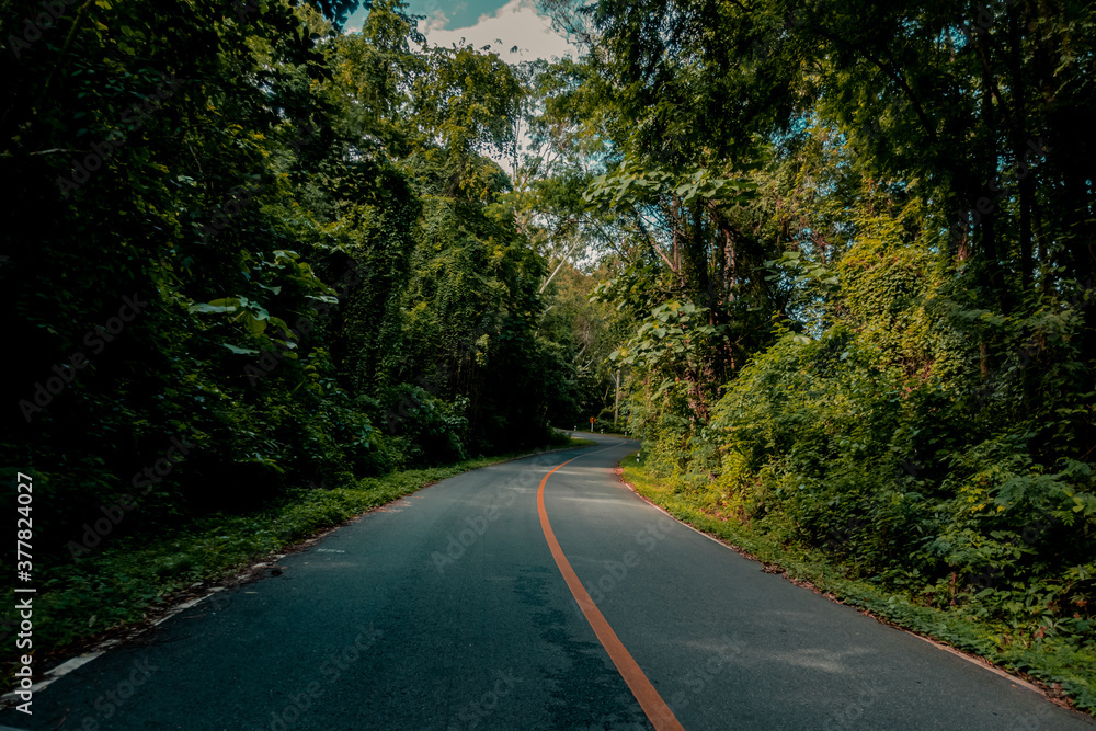 Countryside road passing through the serene lush greenery and foliage tropical rain forest mountain landscape on the Doi Phuka Mountain reserved national park the northern Thailand Countryside road passing through the serene lush greenery and foliage tropical rain forest mountain landscape on the Doi Phuka Mountain reserved national park the northern Thailand