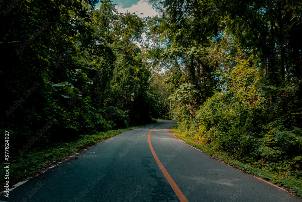 Countryside road passing through the serene lush greenery and foliage tropical rain forest mountain landscape on the Doi Phuka Mountain reserved national park the northern Thailand