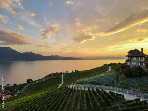 Sunset time in Lavaux, Switzerland.