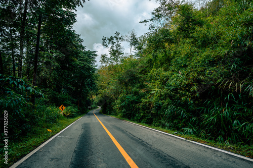 Countryside road passing through the serene lush greenery and foliage tropical rain forest mountain landscape on the Doi Phuka Mountain reserved national park the northern Thailand © Kittiphat