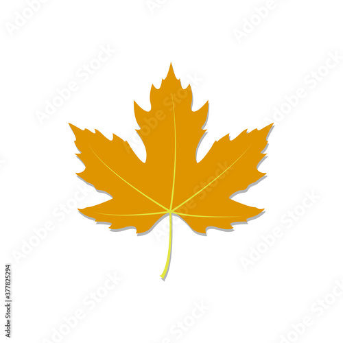 maple leaf logo icon design template vector 
