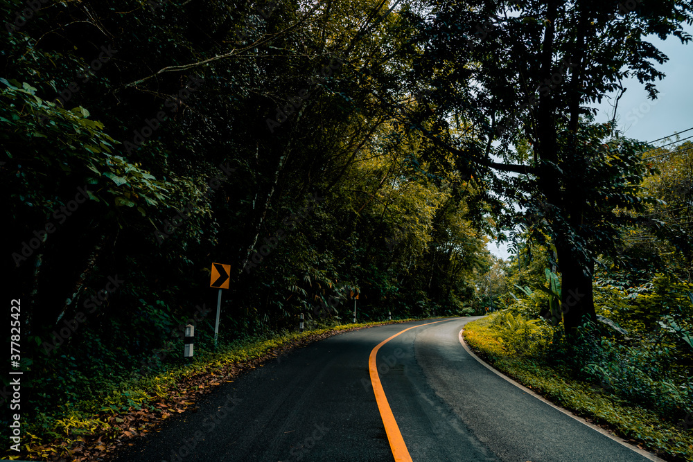 Obraz premium Countryside road passing through the serene lush greenery and foliage tropical rain forest mountain landscape on the Doi Phuka Mountain reserved national park the northern Thailand