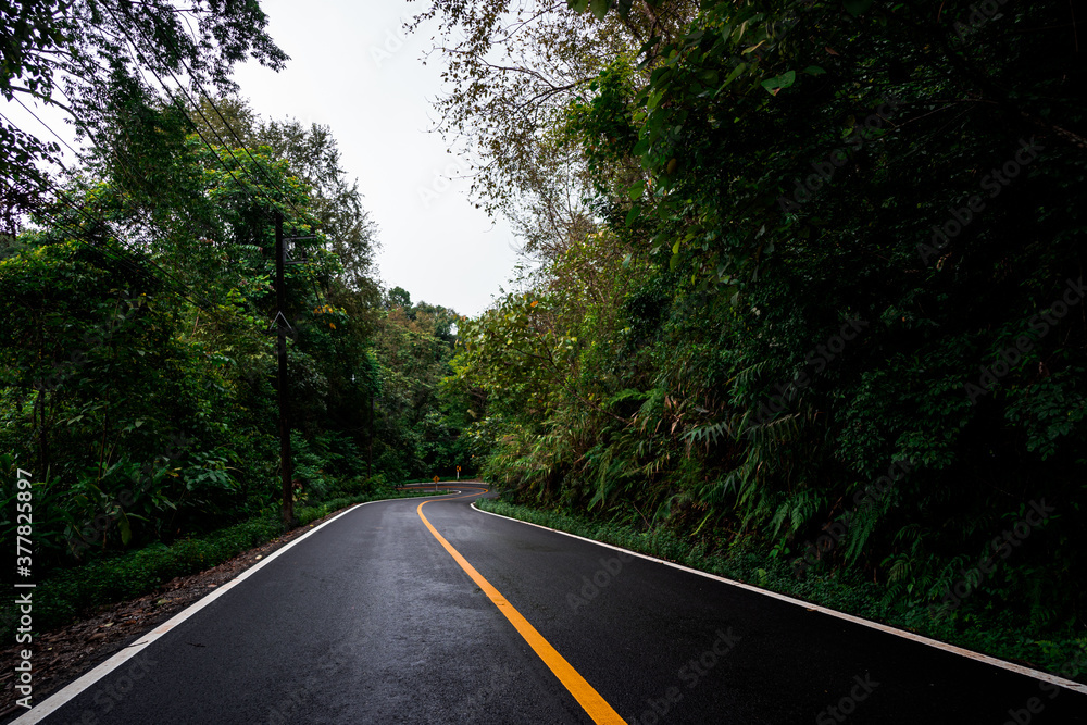 Fototapeta premium Countryside road passing through the serene lush greenery and foliage tropical rain forest mountain landscape on the Doi Phuka Mountain reserved national park the northern Thailand
