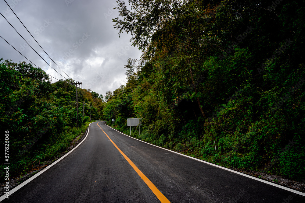 Fototapeta premium Countryside road passing through the serene lush greenery and foliage tropical rain forest mountain landscape on the Doi Phuka Mountain reserved national park the northern Thailand