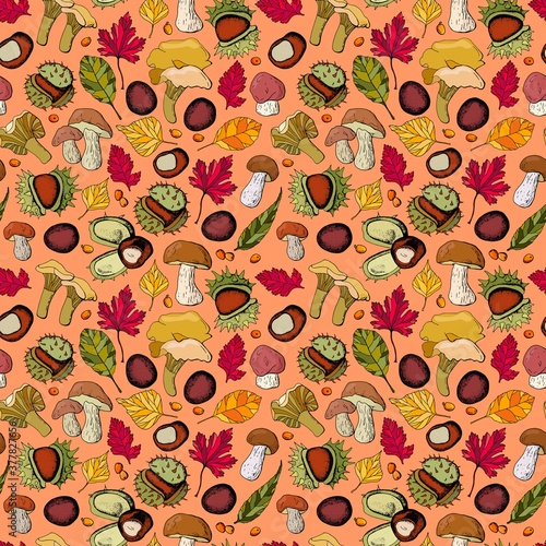Autumn illustration. Colored foliage, mushrooms, chestnuts, sea buckthorn berries. Endless textures for your design.
