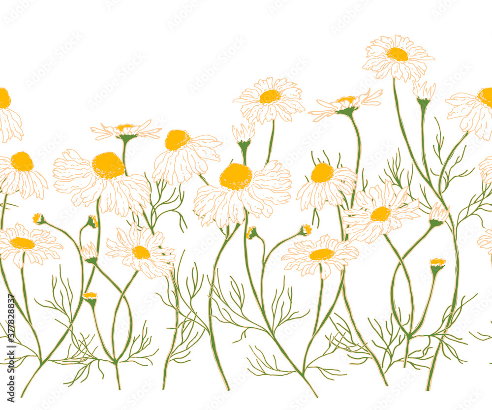 Seamless horizontal pattern of hand-drawn chamomiles in gentle colors. Isolated on white Seamless horizontal pattern of hand-drawn chamomiles in gentle colors. Isolated on white