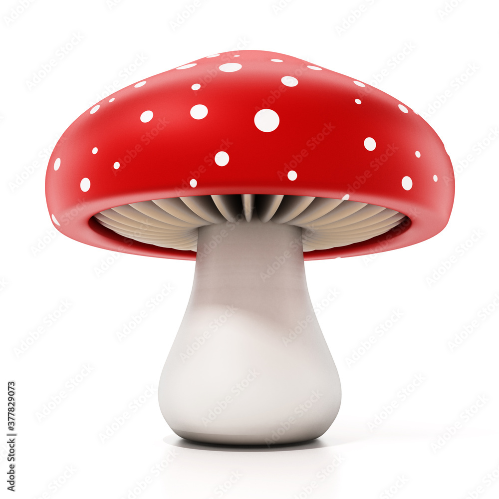 Red and white wild mushroom isolated on white background. 3D illustration Red and white wild mushroom isolated on white background. 3D illustration