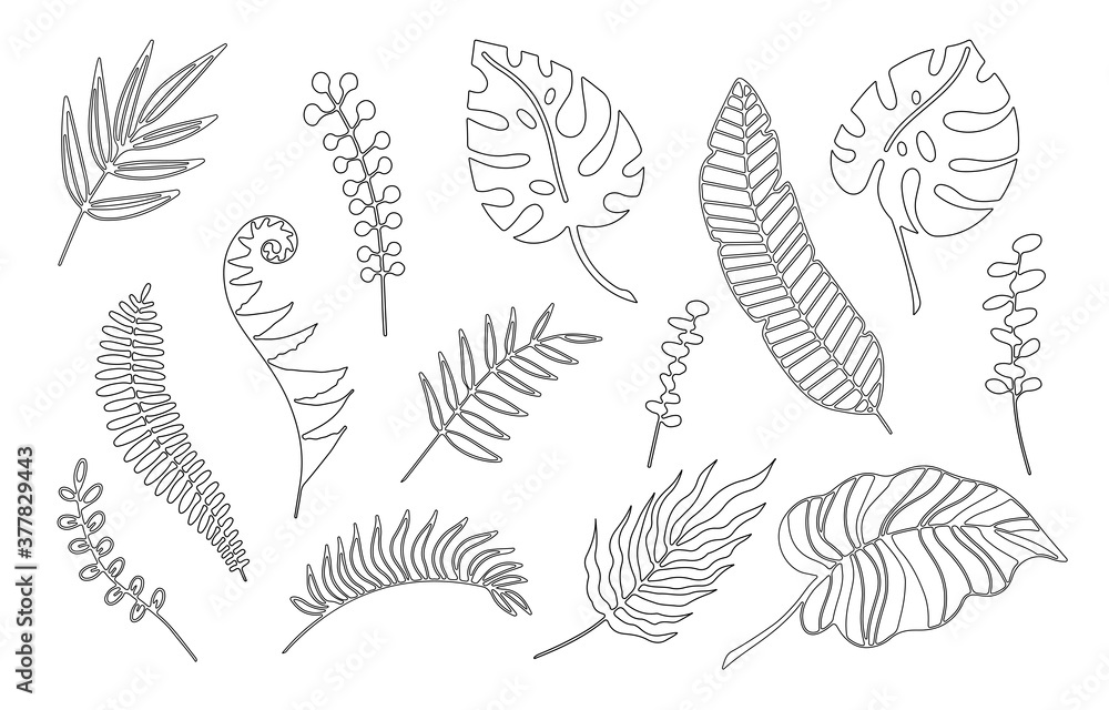 Hand drawn branches set of tropical plants leaves isolated on white background. Outline doodle vector illustration. Design for pattern, logo, template, banner, posters, invitation, greeting card