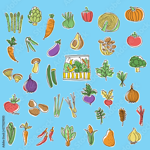 Collection of illustrations of interesting vegetables,