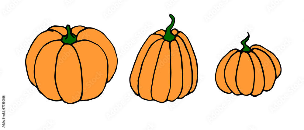 Set of Simple flat color Pumpkin icon isolated on white background. Symbol autumn, crop, fruitful year. Harvest thanksgiving or halloween theme. Hand drawn vector EPS10 illustration
