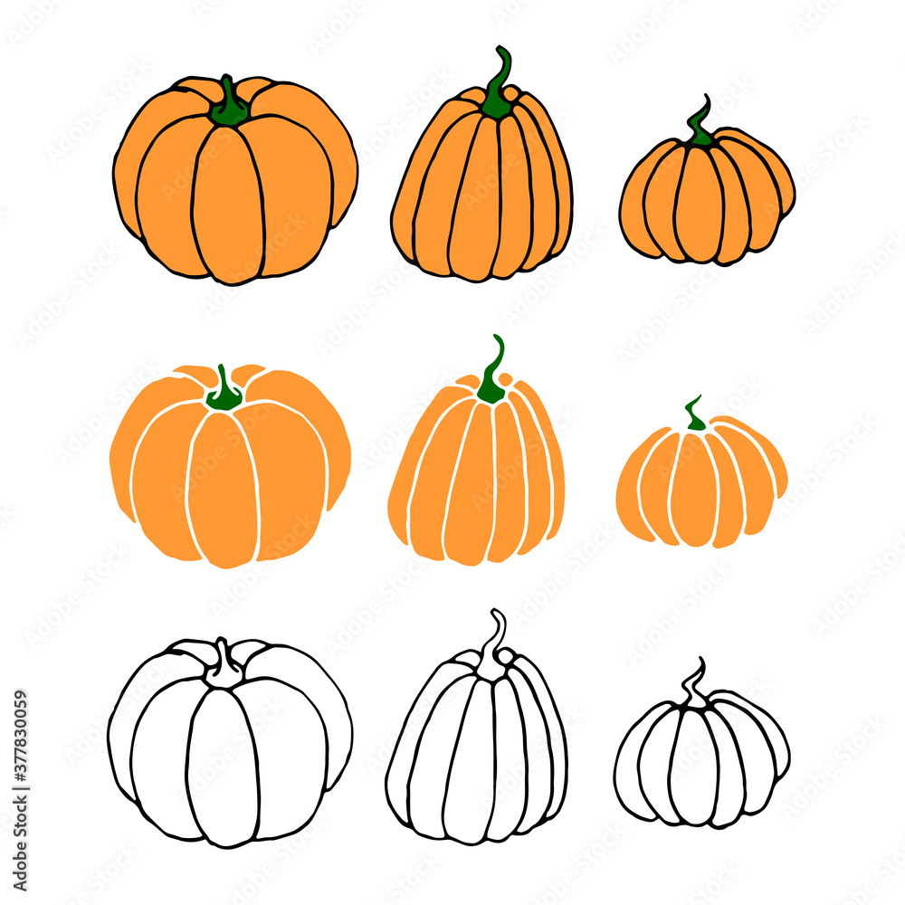 Set of Pumpkin icon isolated on white background. Outline doodle and color. Symbol autumn, crop, fruitful year. Hand drawn vector EPS10 illustration Set of Pumpkin icon isolated on white background. Outline doodle and color. Symbol autumn, crop, fruitful year. Hand drawn vector EPS10 illustration