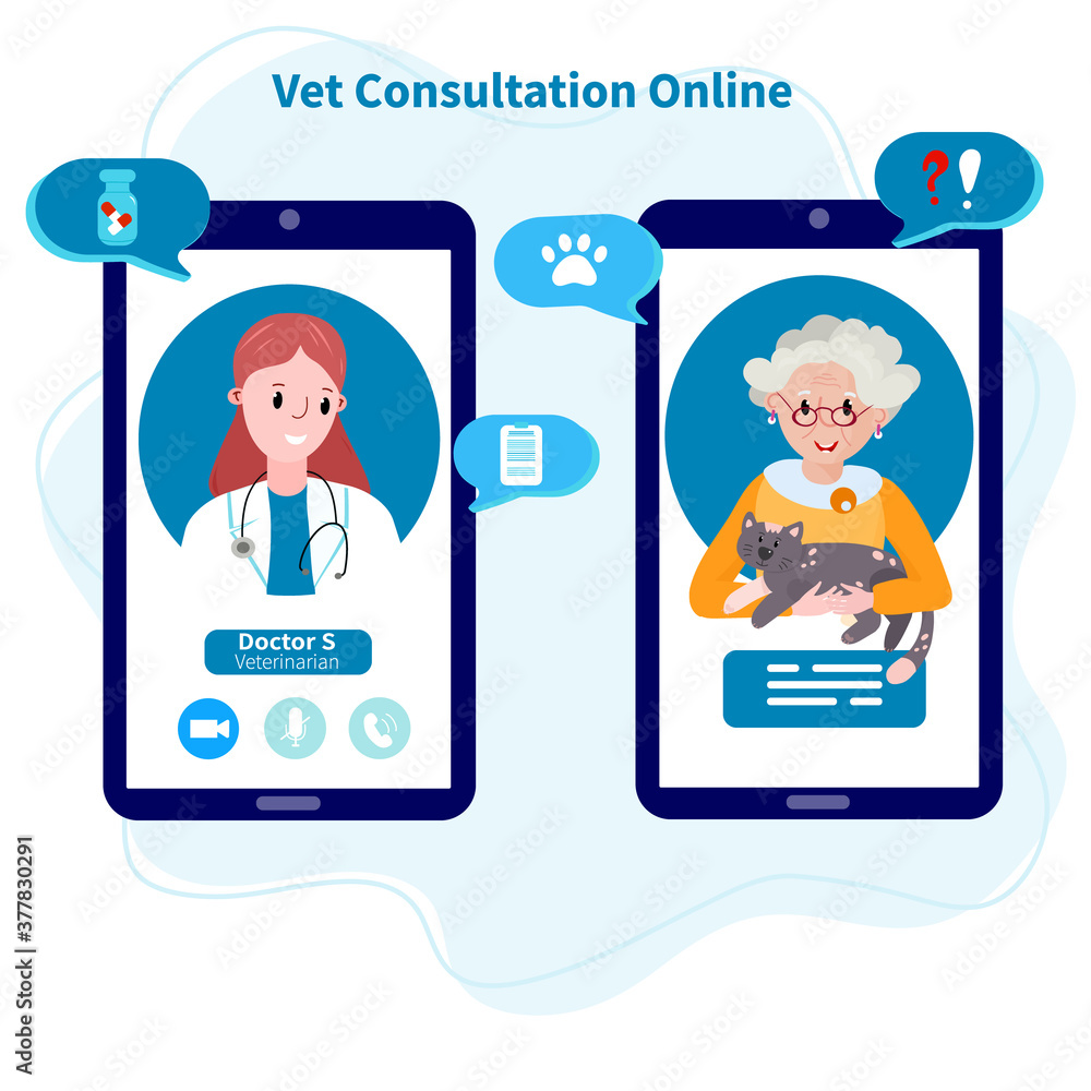 Online Veterinary appointment. Telehealth for pet. Remote Vet