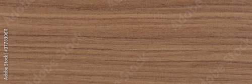 New awesome nut veneer background in grey color. Natural wood texture, pattern of a long veneer sheet, plank.