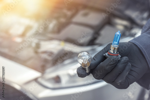 male's hand holding light bulb of car headlight for repair auto