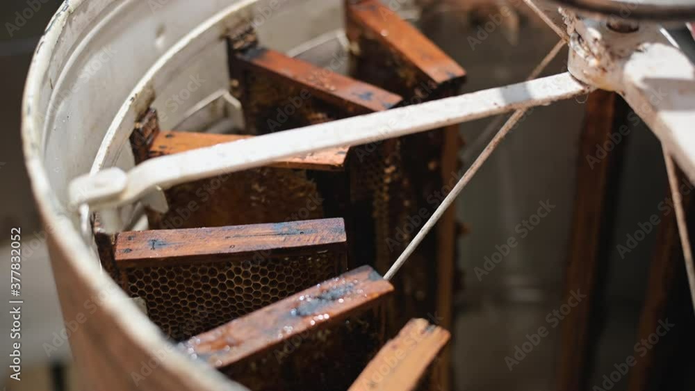 Beekeeper spinning uncapped frames in the centrifuge-like metal container, the process of honey extraction. Beekeeper spinning uncapped frames in the centrifuge-like metal container, the process of honey extraction.