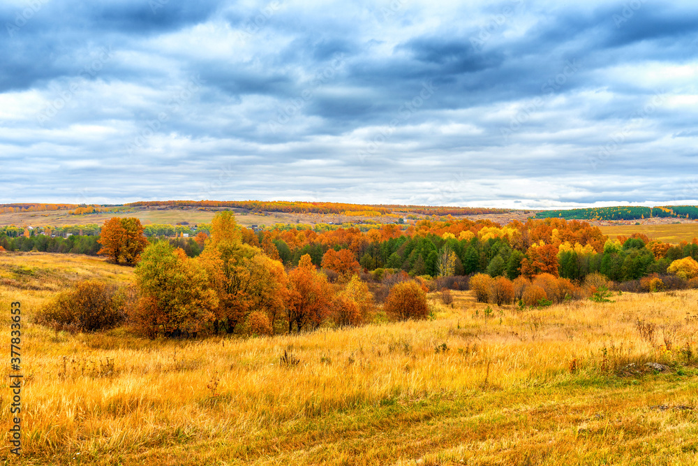 Picturesque autumn landscape in green and yellow colors. Panoramic view from hill to lowland with grove, village and field in cloudy day. Colorful autumnal nature, beautiful natural background