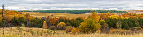 Picturesque autumn landscape in green and yellow colors. Panoramic view from hill to lowland with grove and field in cloudy day. Colorful autumnal nature, beautiful natural background