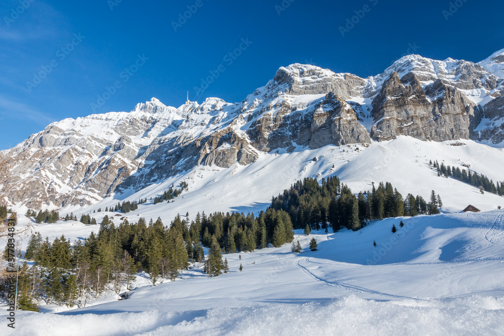 Winterlandschaft mit dem Säntismassiv, Kanton Appenzell-Ausserrhoden, Schweiz