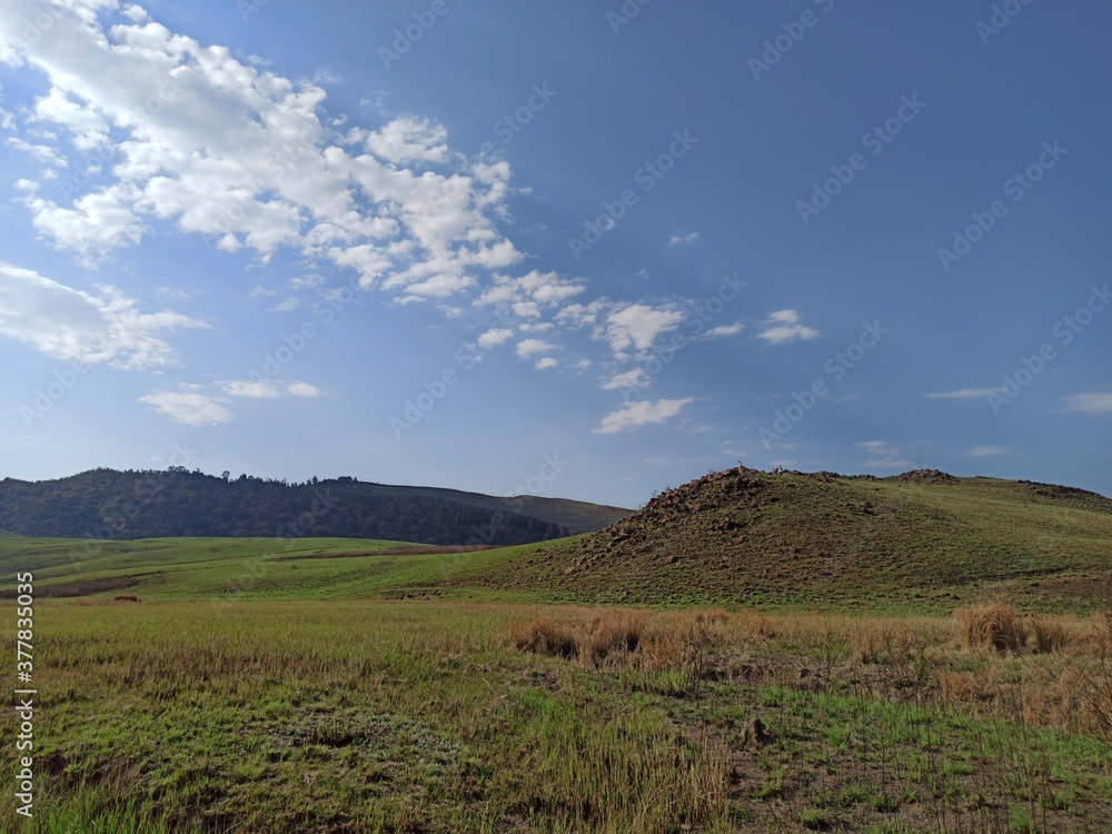 Obraz premium Our Hill