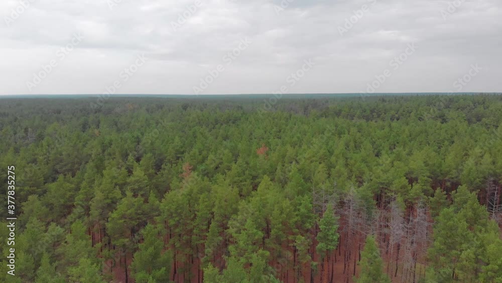 Aerial over the trees drone push in forward camera movement Aerial over the trees drone push in forward camera movement