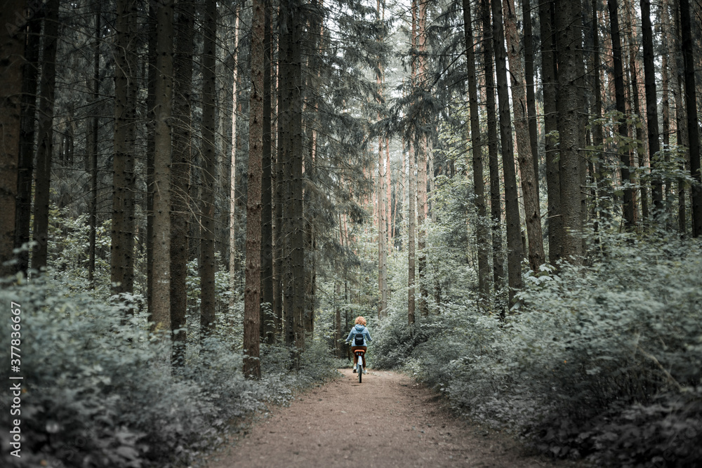A woman rides into the distance along a forest road on a bicycle
