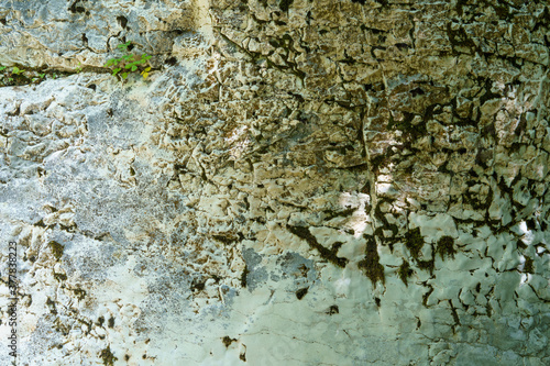 Background of stone texture with moss. Close up image