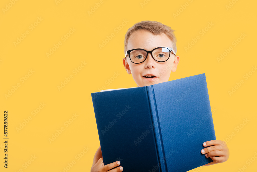 child reads a book against a bright wall child reads a book against a bright wall