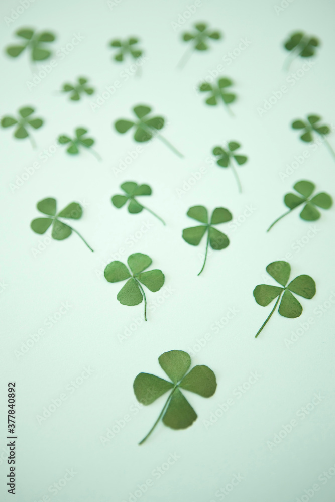 four leaf clover four leaf clover