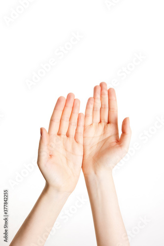 woman's empty open hands on white background