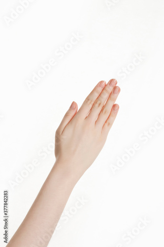 woman's hand on white background