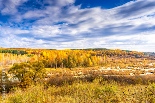 Picturesque autumn landscape in golden and blue colors. View from hill to lowland with wood and swamps. Beautiful natural background  beauty of nature  autumn is coming  season changing concept