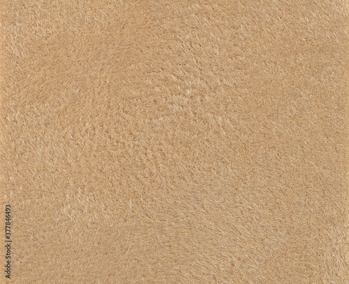 Wallpaper Mural 背景素材　布　毛氈（もうせん） Torontodigital.ca