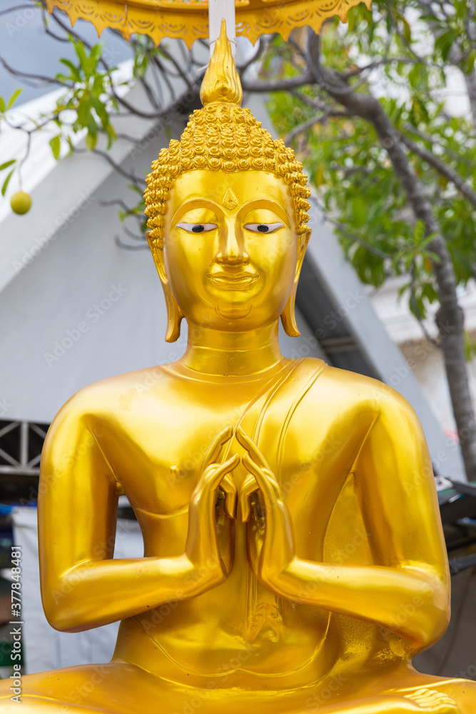Gold painted Thai Buddha statues