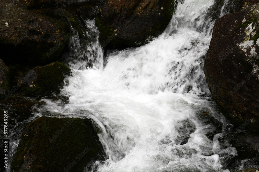 A flowing stream in the High Tatras A flowing stream in the High Tatras