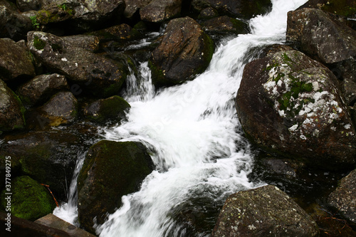 A flowing stream in the High Tatras