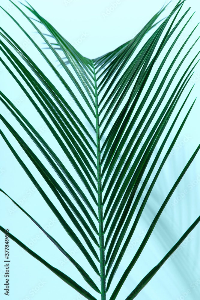 Mint Blue paper texture wall leaf plant shadow background. Summer tropical travel beach with minimal concept. Mint Blue paper texture wall leaf plant shadow background. Summer tropical travel beach with minimal concept.