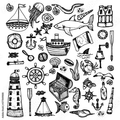 Big set of cute hand drawn elements of marine theme including ships, anchors, fish, shells and others. Hand drawn marine collection