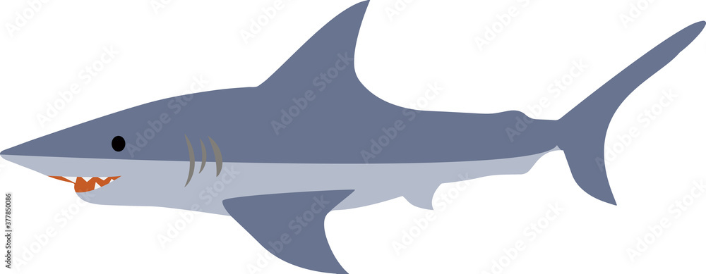 Obraz premium かわいくてシンプルなサメのイラスト