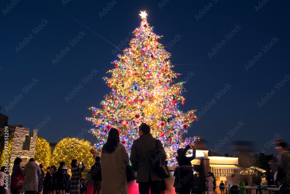 Silhouette Of Japanese Couple Against Christmas Tree Lights In Tokyo 東京 恵比寿ガーデンプレイスのクリスマスツリーとカップルのシルエット 夜景 Stock Photo Adobe Stock