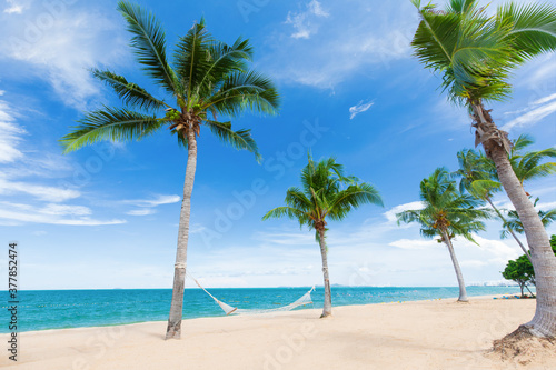 Hammocks hang between coconut palm tree in idyllic white sand beach in sunny bright day with clear and clean blue sky and cloud. Beautiful view of tropical seascape concept of calm and relaxing place