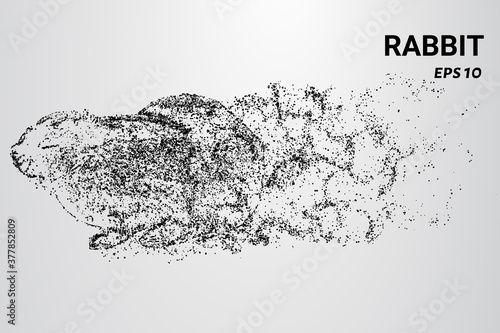 Rabbit from the particles. A rabbit consists of circles and dots. The rabbit splits into molecules.