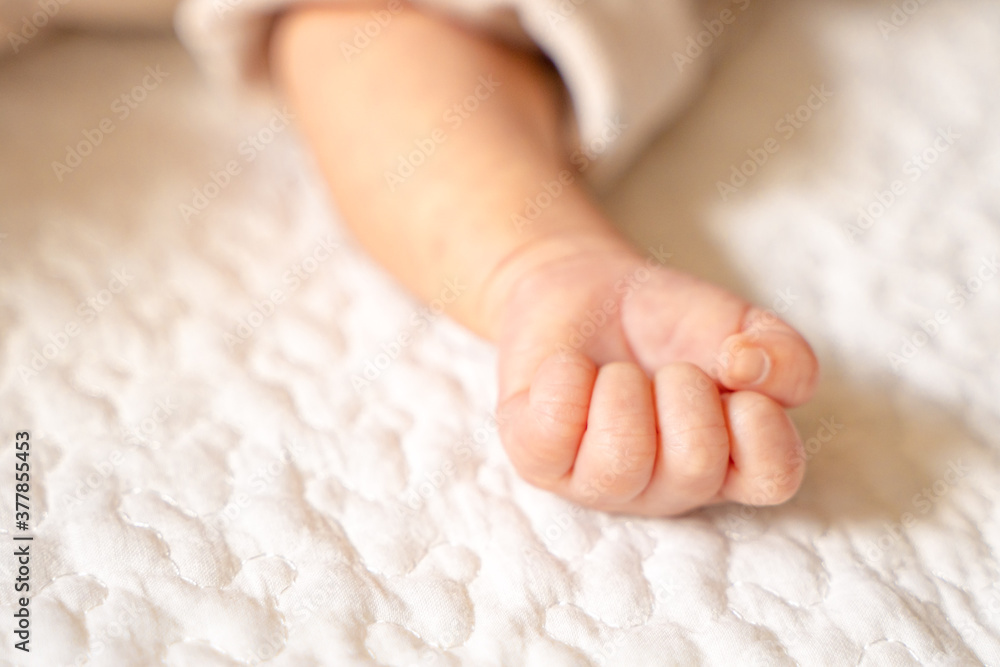 柔らかい雰囲気、かわいい赤ちゃんの握った手 柔らかい雰囲気、かわいい赤ちゃんの握った手