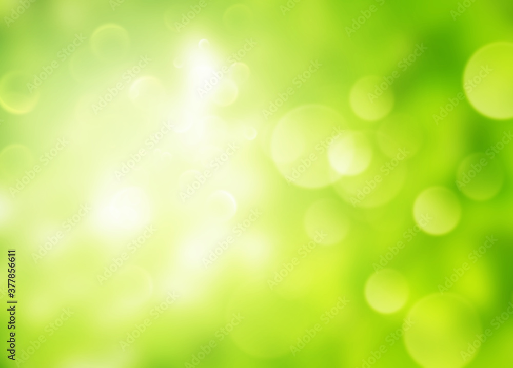 Green natural gradient background, Abstract green blurred background with bright bokeh and sunlight.