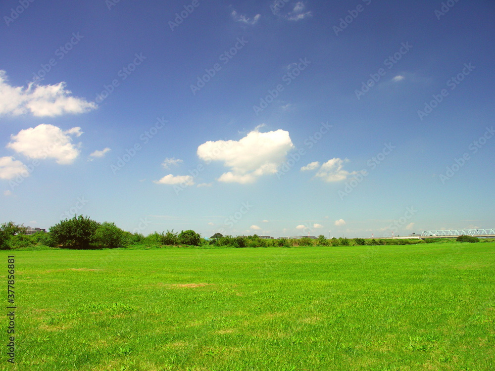 平日の初秋の無人の江戸川河川敷風景 平日の初秋の無人の江戸川河川敷風景