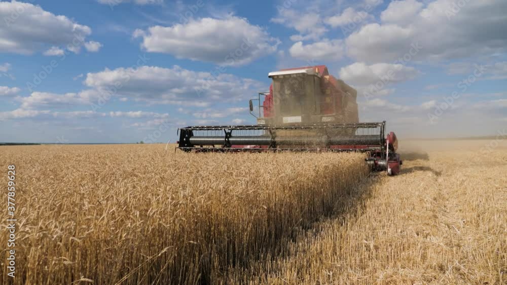 Combine harvester gathers the wheat crop. Wheat harvesting shears. Combines in the field Food industry concept. Combine harvester gathers the wheat crop. Wheat harvesting shears. Combines in the field Food industry concept.
